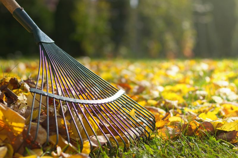 Autumn Lawn Care Tools